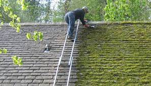 roof de-mossing victoria